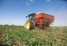 urea