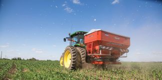 urea