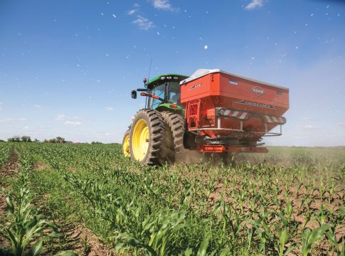 urea