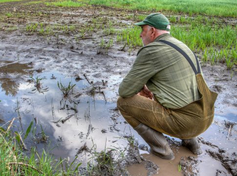 avversità climatiche