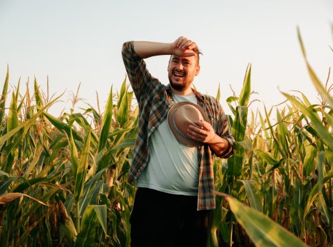 Caldo estremo e lavoro agricolo, può scattare la Cisoa caldo estremo