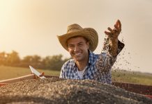 Rapporto Ismea: in agricoltura aumentano reddito e occupazione valore aggiunto