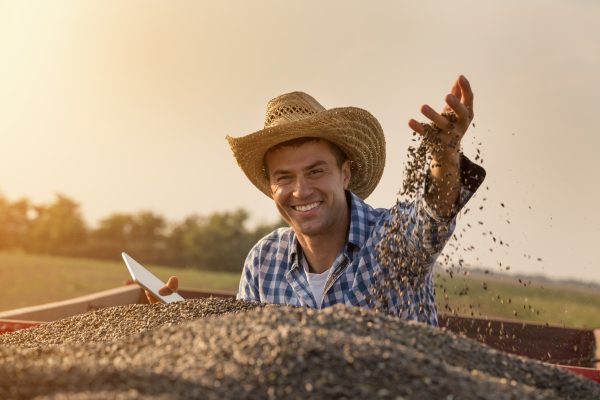 Nel 2024 saliti produzione e valore aggiunto dell’agricoltura