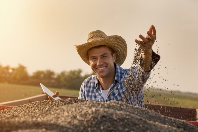 Happy farmer sitting in trailer full of sunflower seeds valore aggiunto