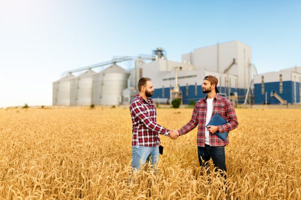 Contratti di filiera e di protezione per un reddito sicuro