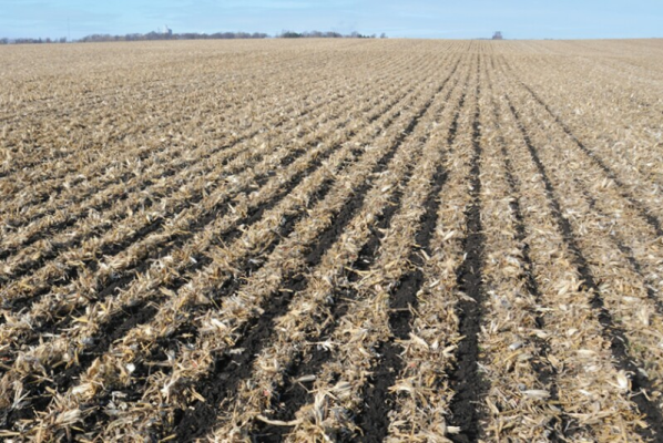agricoltura rigenerativa