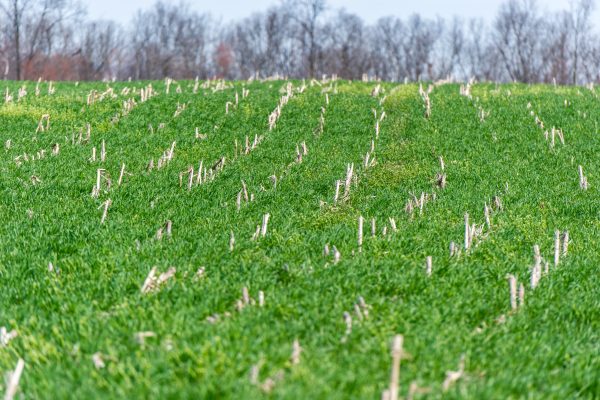 agricoltura rigenerativa