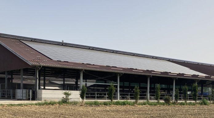Fotovoltaico, ecco il decreto che stanzia altri 789 milioni parco agrisolare