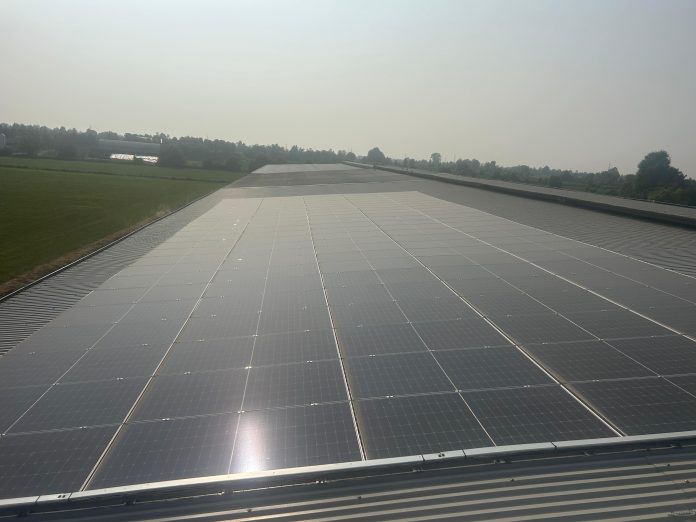 Repetti_fotovoltaico_interviste_14_2025_foto5_azienda Bettoni conto energia