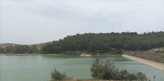 consorzi di bonifica