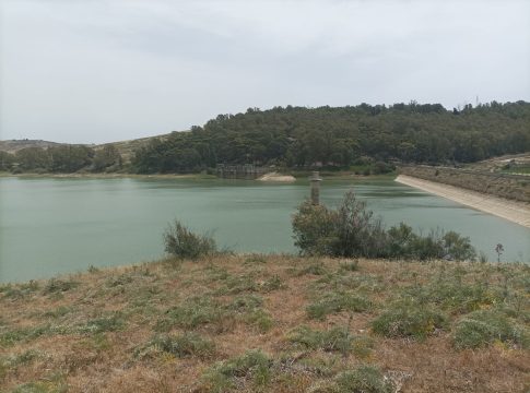 Sicilia, non passa (per ora) la riforma dei Consorzi di bonifica consorzi di bonifica