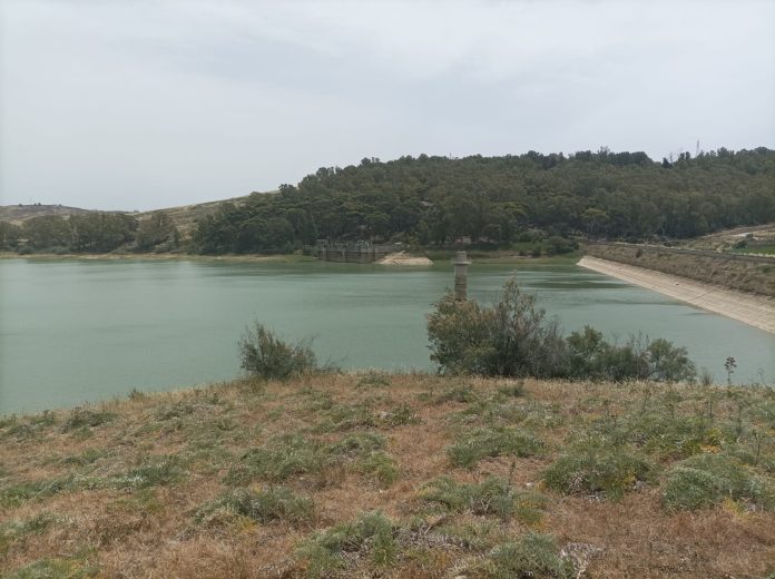 diga trinita 1 consorzi di bonifica