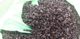 biochar