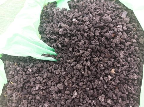 biochar