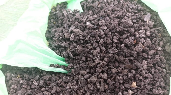 biochar