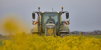 rotazione in agricoltua