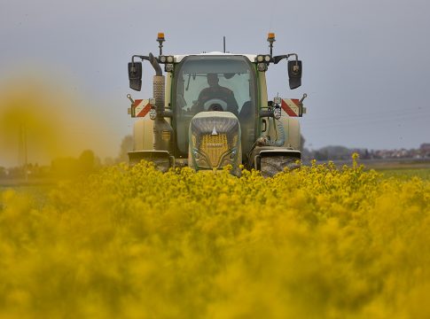 rotazione in agricoltua