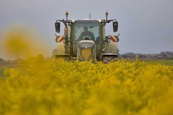 Rotazioni in agricoltura: colza e soia in secondo raccolto