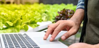 frodi in agricoltura