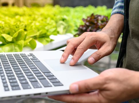 frodi in agricoltura