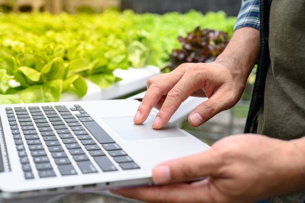 Frodi in agricoltura: Agea lancia il sistema per segnalarle