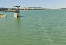 Cia Due Mari: «Gestione diga di San Giuliano complica irrigazione nel Tarantino» cia diga san giuliano