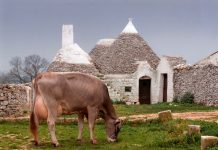 csr puglia 2023-2027