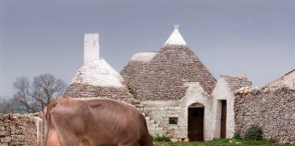 csr puglia 2023-2027