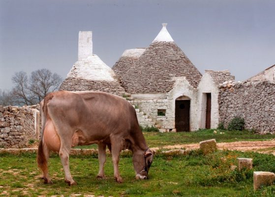 Csr Puglia 2023-2027, nuove Op e investimenti produttivi