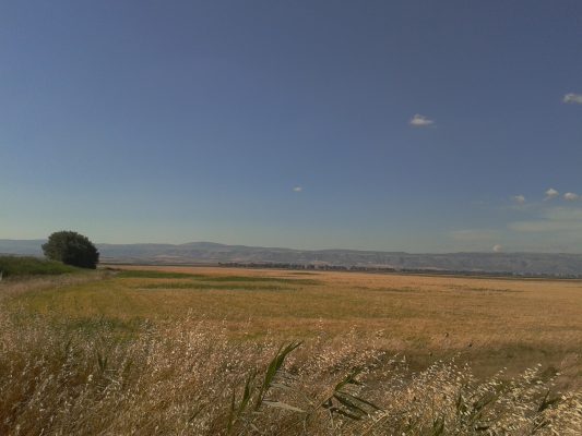 Agricoltura biodinamica e ricerca scientifica, il dialogo continua