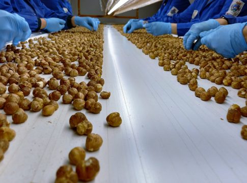 Tonda gentile, prezzo alto ma non basta a coprire i costi tonda gentile