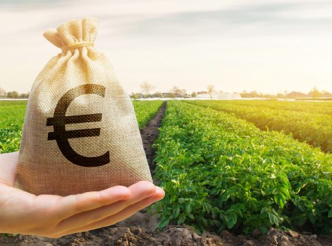 Anticipo Pac, ecco tutte le cifre per il 2025 Anticipo Pac