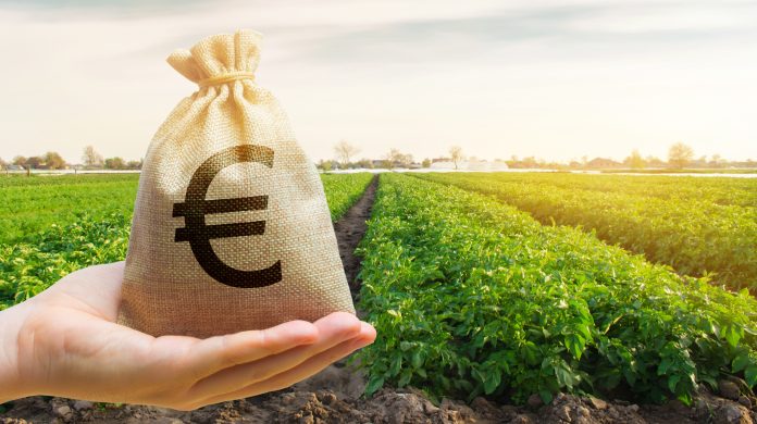soldi sacchetto euro Anticipo Pac
