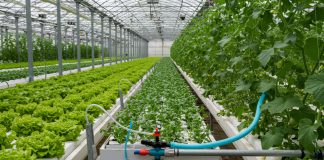 immobili non agricoli