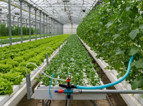 Coltivare in immobili non agricoli, nuovi limiti dalla riforma fiscale immobili non agricoli