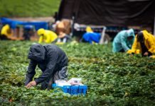 Periodo di prova, attenzione alla descrizione delle mansioni periodo di prova