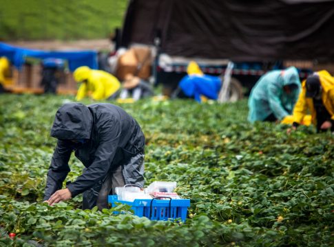 Periodo di prova, attenzione alla descrizione delle mansioni periodo di prova
