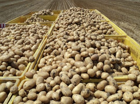 Apofruit: liquidazione primaverile da 22 milioni