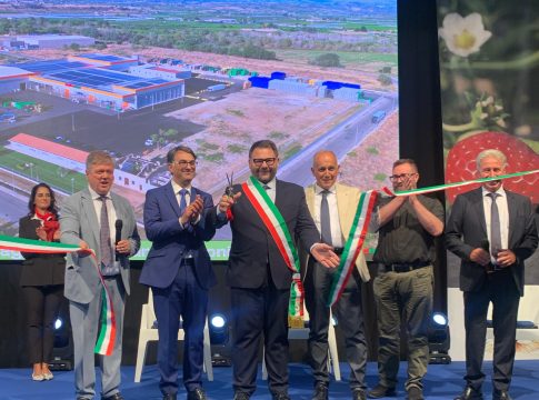 Apofruit: a Scanzano Jonico festa, investimenti e futuro