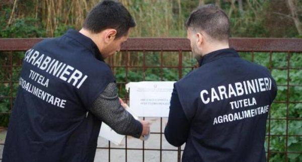 Miele: sequestrate 2,8 tonnellate di falso bio