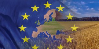agricoltura europea