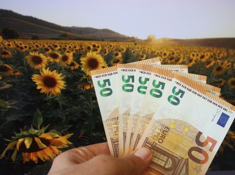 Nuova Pac, ecco come cambierà il sostegno al reddito Nuova Pac