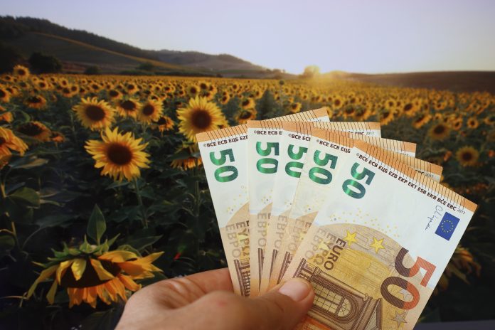 soldi_girasole Nuova Pac