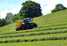 agricoltura in montagna