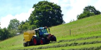 agricoltura in montagna