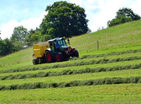 Agricoltura in montagna, la nuova legge è realtà agricoltura in montagna