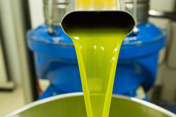 Nuove norme per la gestione dell’olio di oliva “in attesa di classificazione”