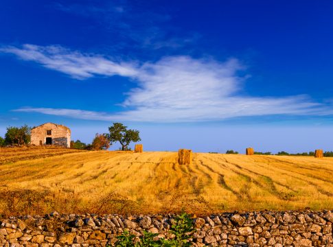 Usufrutto e cessione di immobili, cambia la tassazione usufrutto