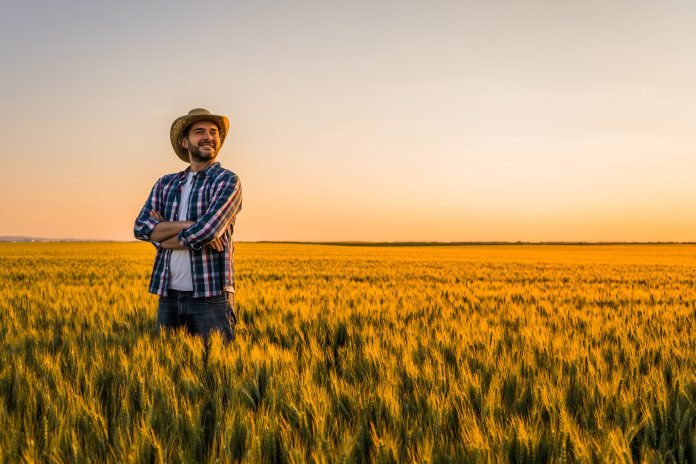 agricoltore grano incentivi