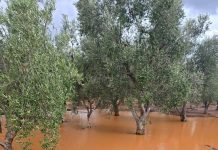 nubifragio nel brindisino